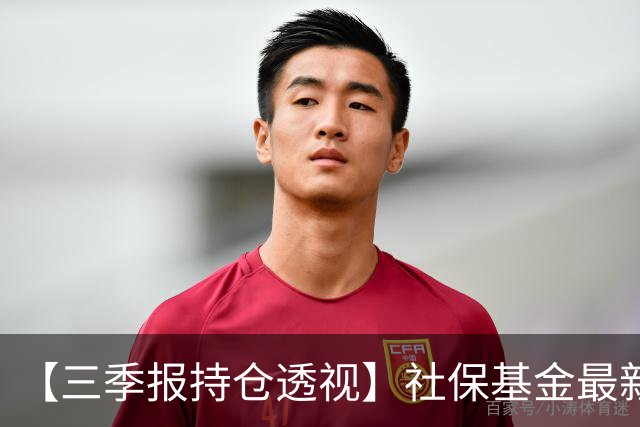 【三季报持仓透视】社保基金最新动向来了，000725，新进持股数最高！企业年金新进增持股出炉