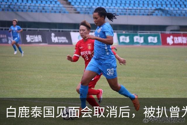 白鹿泰国见面会取消后，被扒曾为缅北拍宣传片，知情人爆更多内幕